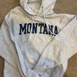 Champion Light Gray Montana Hoodie